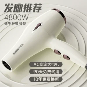 德国电吹风机家用大风力发廊专用理发店4800w负离子护发速干风筒