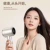 德国高速电吹风家用吹风机蓝光负离子护发速干大功率静音发廊风筒